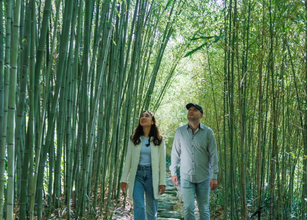 Things To Do In Kyoto - Rakusai Bamboo Park