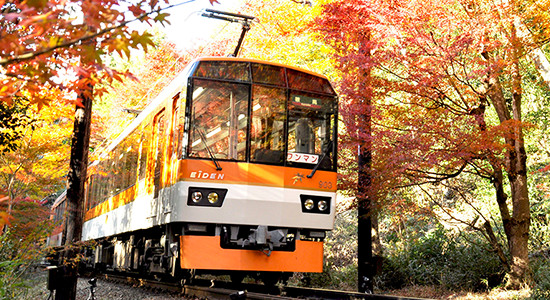 Things to do in Kyoto - Kurama Day Trip