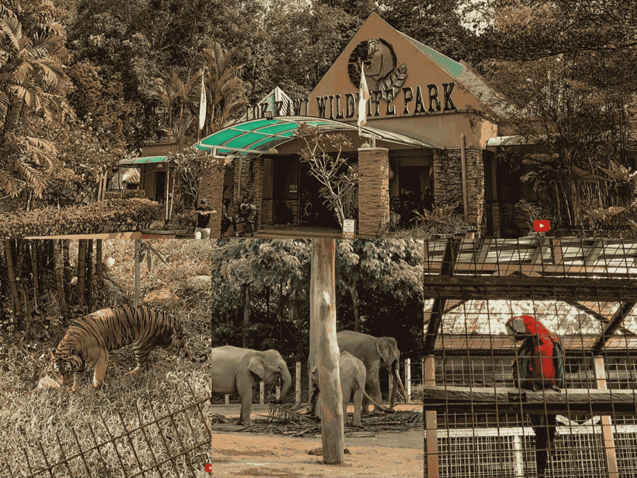 Things to do in Kota Kinabalu: Lok Kawi Wildlife Park