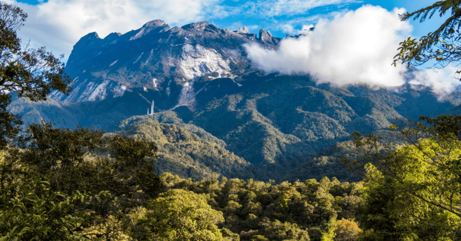 Things to do in Kota Kinabalu: Kinabalu National Park and Mount Kinabalu
