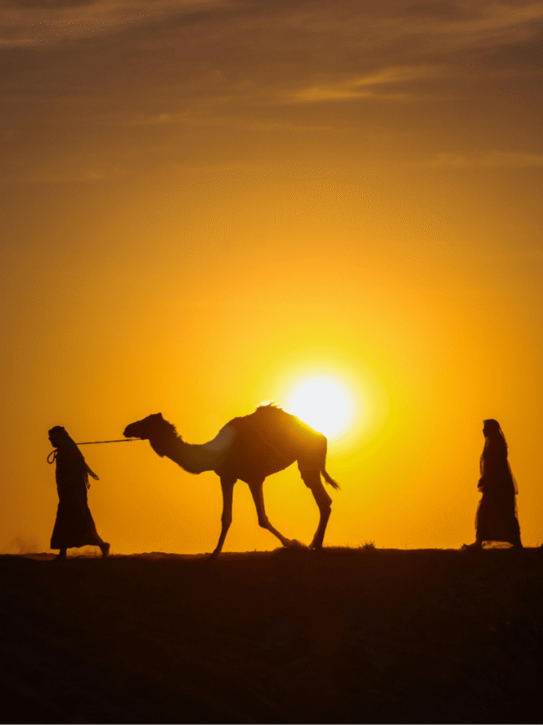 A handler leading a camel across the desert, silhouetted against a golden sunset