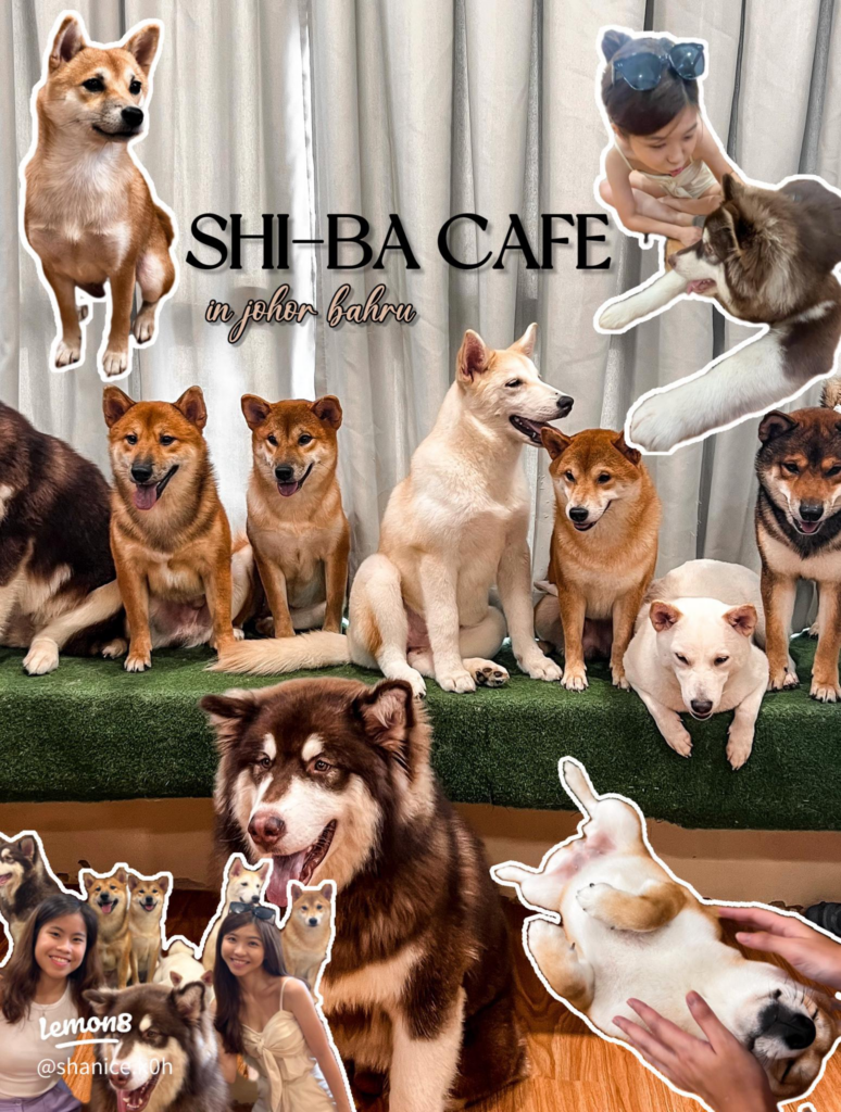 Trendy JB Cafes - Shi-ba Cafe JB