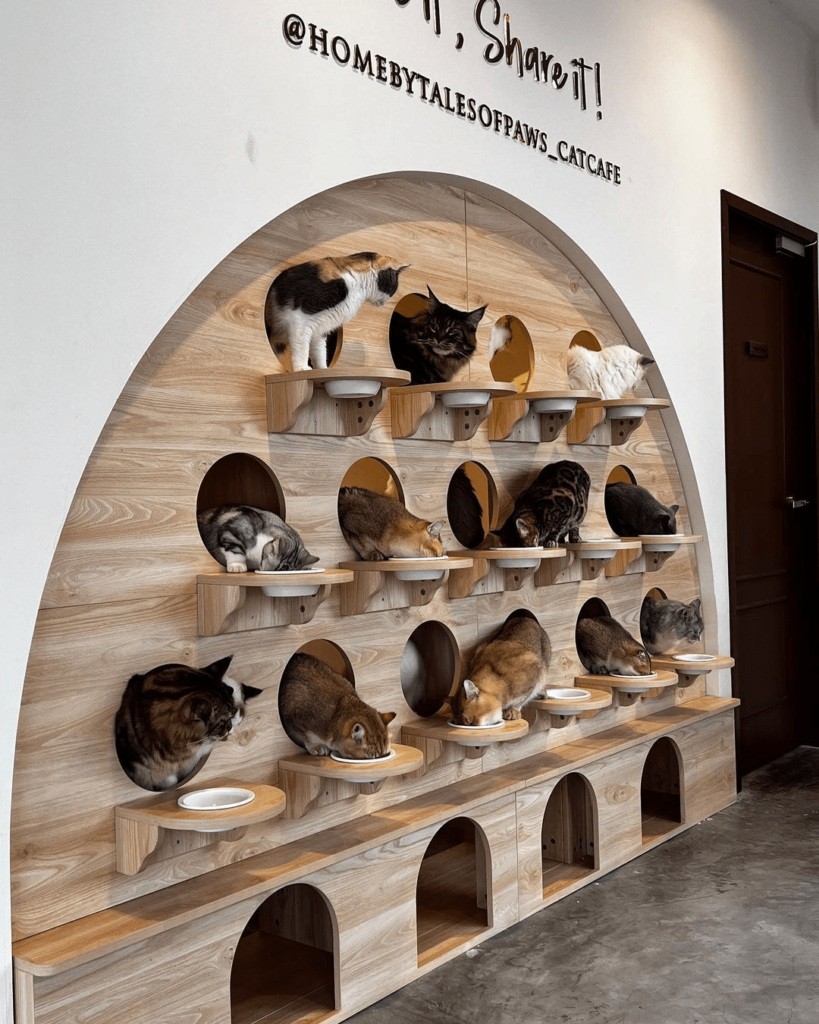 Trendy JB Cafes - HOME by Tales of Paw