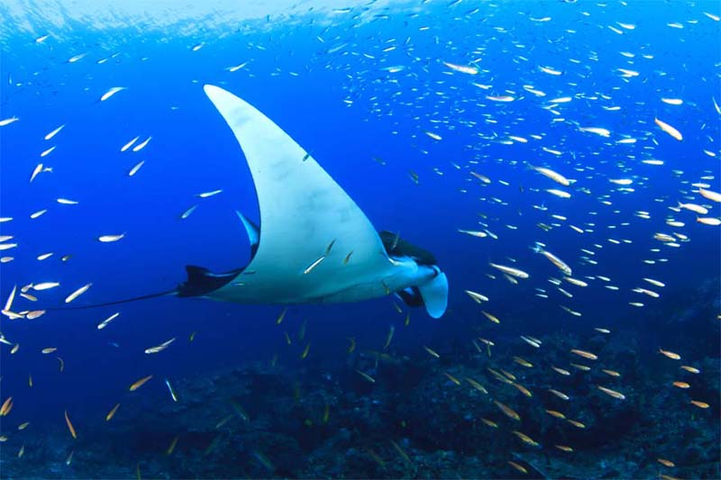 Kota Kinabalu - Tunku Abdul Rahman Marine Park