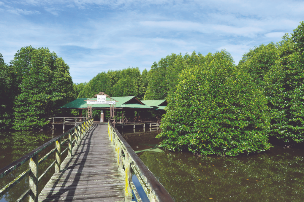 Kota Kinabalu - Kota Kinabalu Wetland