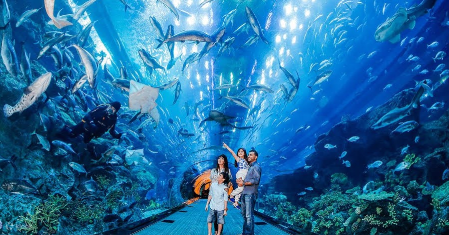 Visitors walking through the underwater glass tunnel at Dubai Aquarium, surrounded by fish and rays