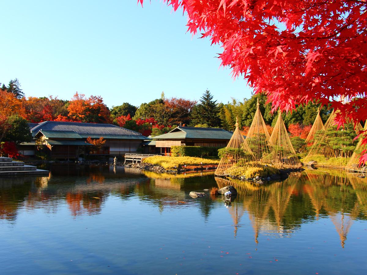 things to do in nagoya: Shirotori Garden 