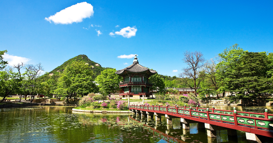 Korea Power Plug & Socket Guide (2025): Types, Voltage, Adapters & Tips