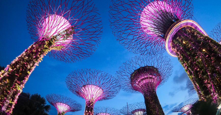 Revolut Singapore (2025): The Ultimate Guide To The Revolut Card, Account & Fees