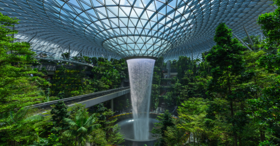 Wise Card Singapore Guide (2025): Fees, Limits, Exchange Rates