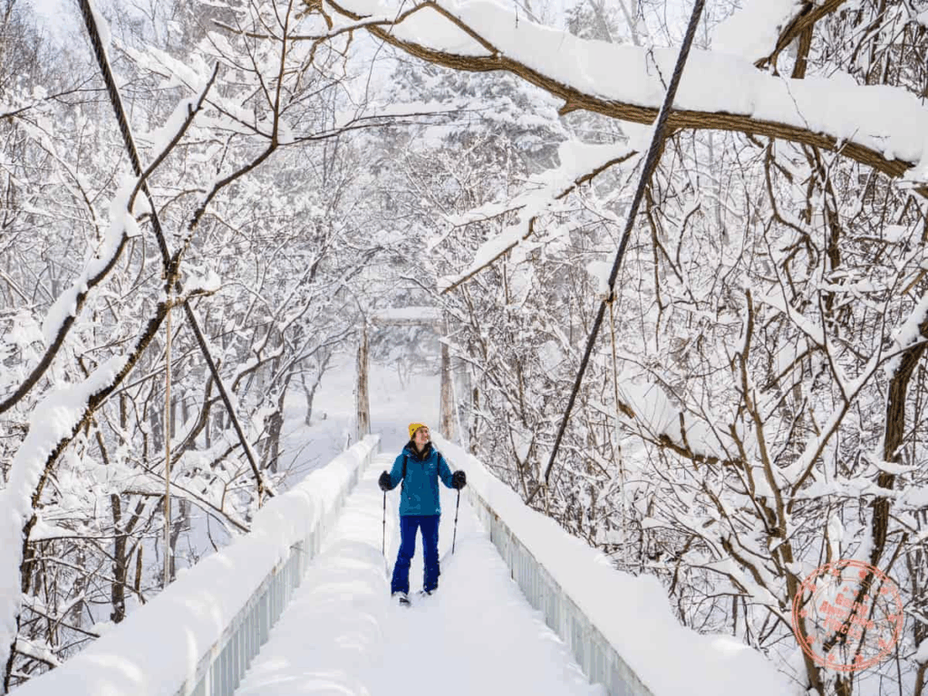 Sapporo, Hokkaido, Japan: Winter Itinerary Skiing