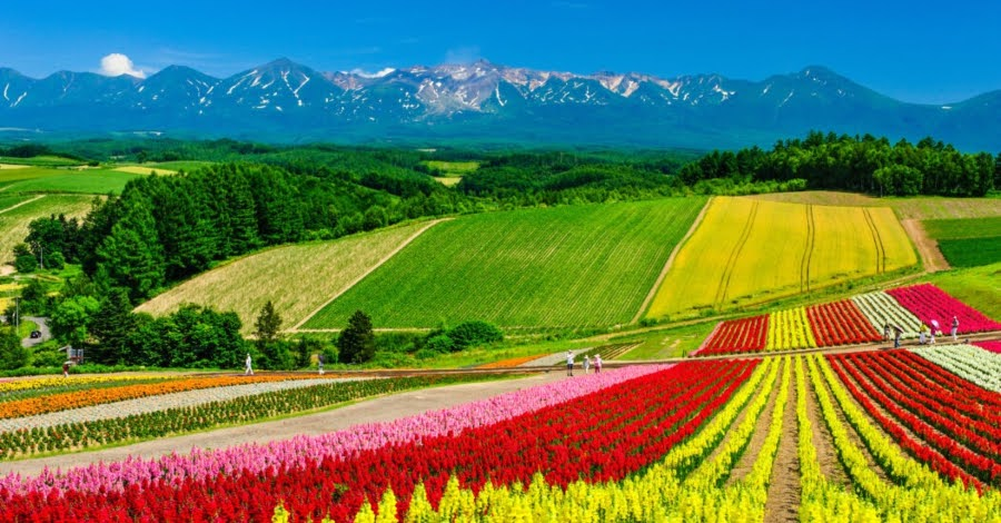 Sapporo, Hokkaido, Japan Weather: Summer