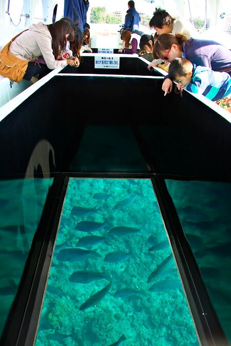 Passengers viewing tropical fish through the glass floor of a boat at Kabira Bay