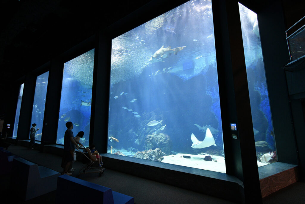 Visitors silhouetted against the large panoramic tank of sharks and rays at Marine World Uminonakamichi