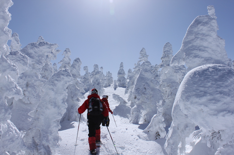things to do in nagano: snowshoeing in shiga kogen