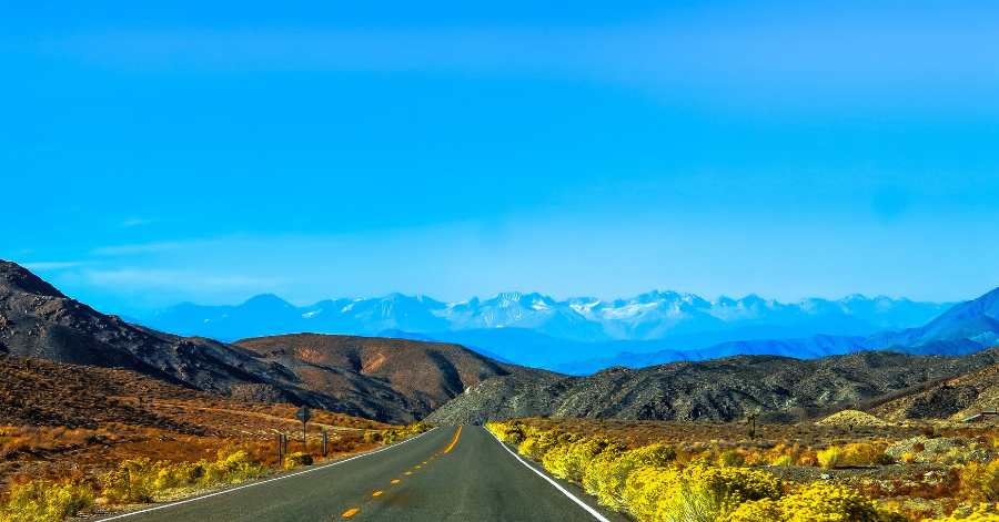 International Driving License Singapore 2025: Price, Validity & How to Apply