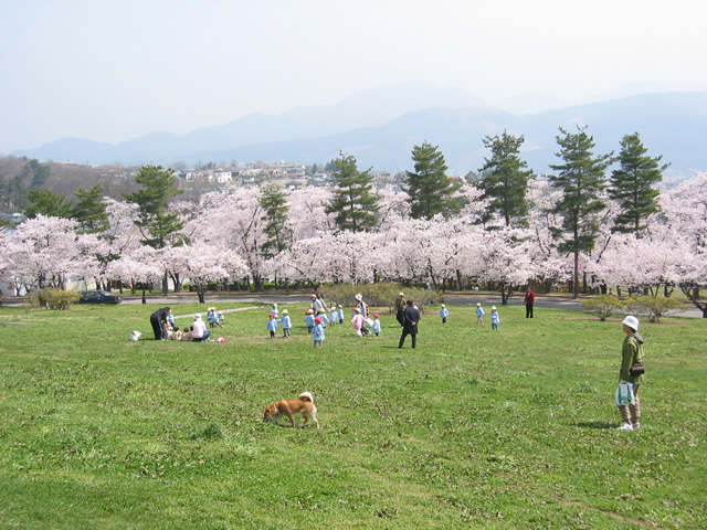 things to do in nagano: joyama park