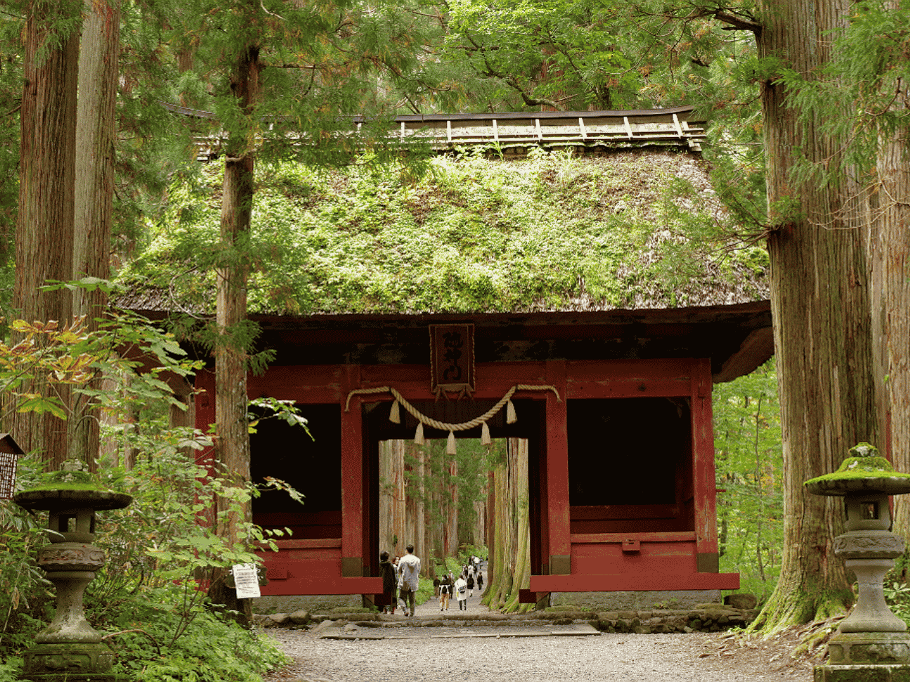 things to do in nagano: togakushi shrine