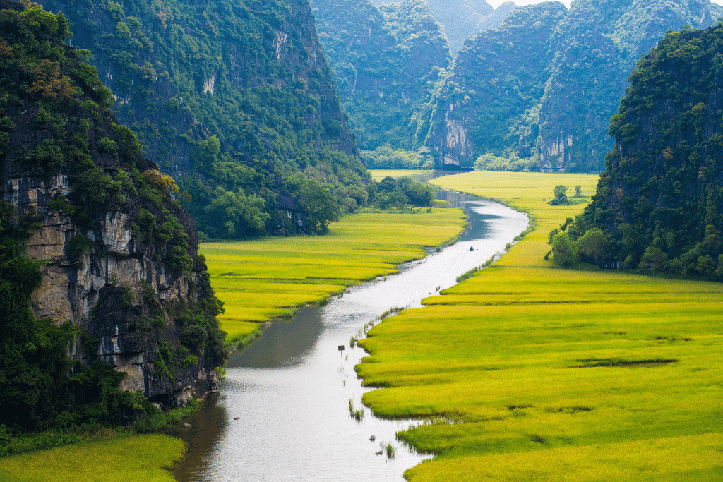 River winding between golden rice paddies and forested limestone karsts in Ninh Binh
