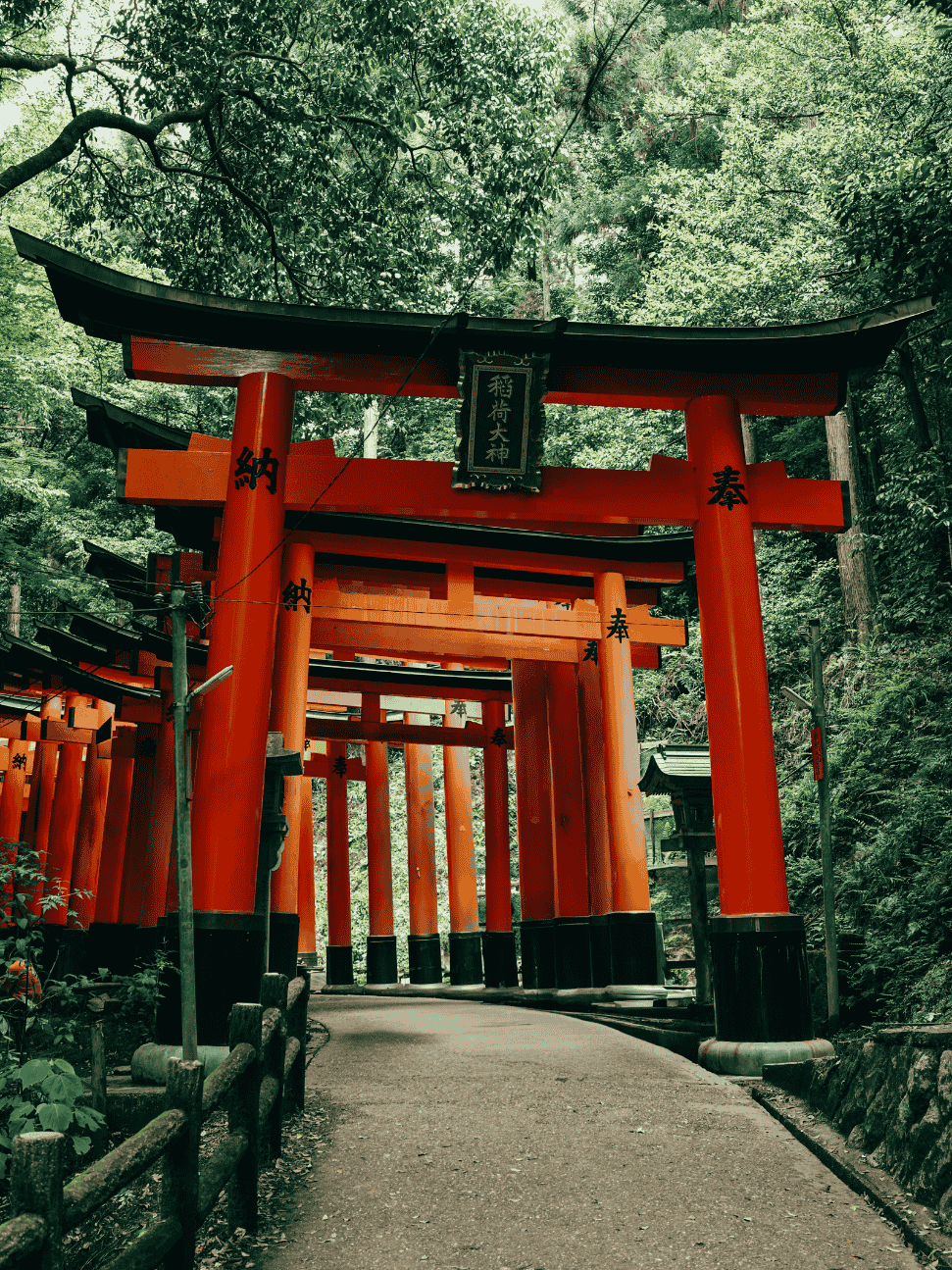 things to do in osaka: day trip to kyoto