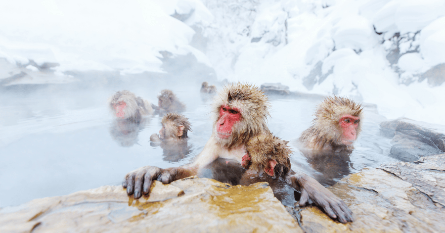 Things To Do in Nagano