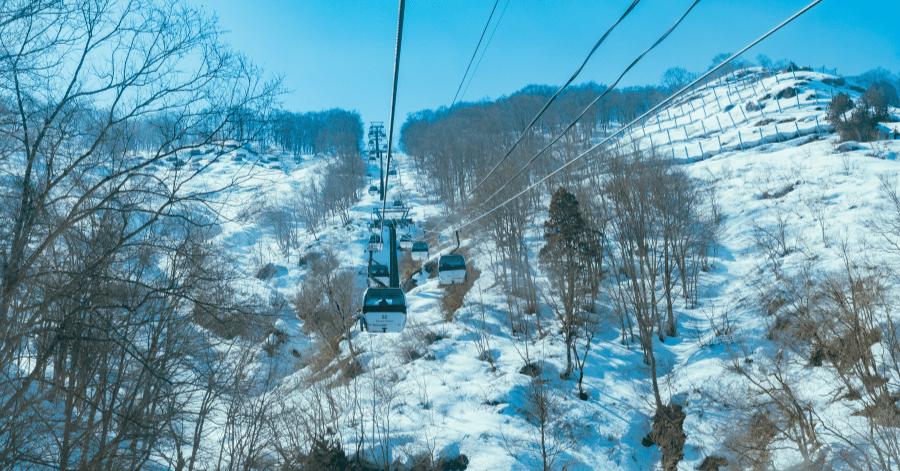 things to do in nagano: skiing