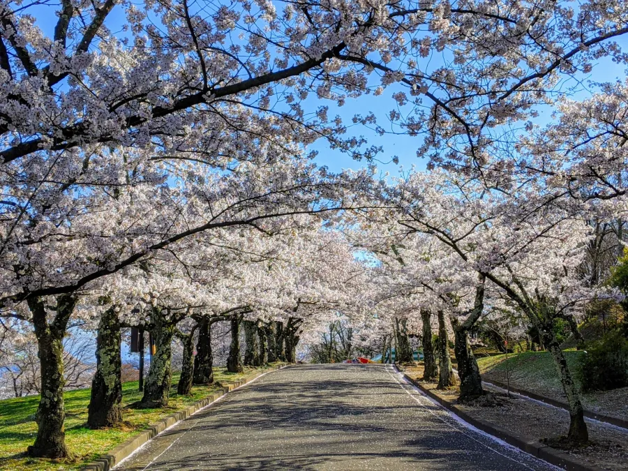 Things to Do in Nagano - Joyama Park in Nagano City