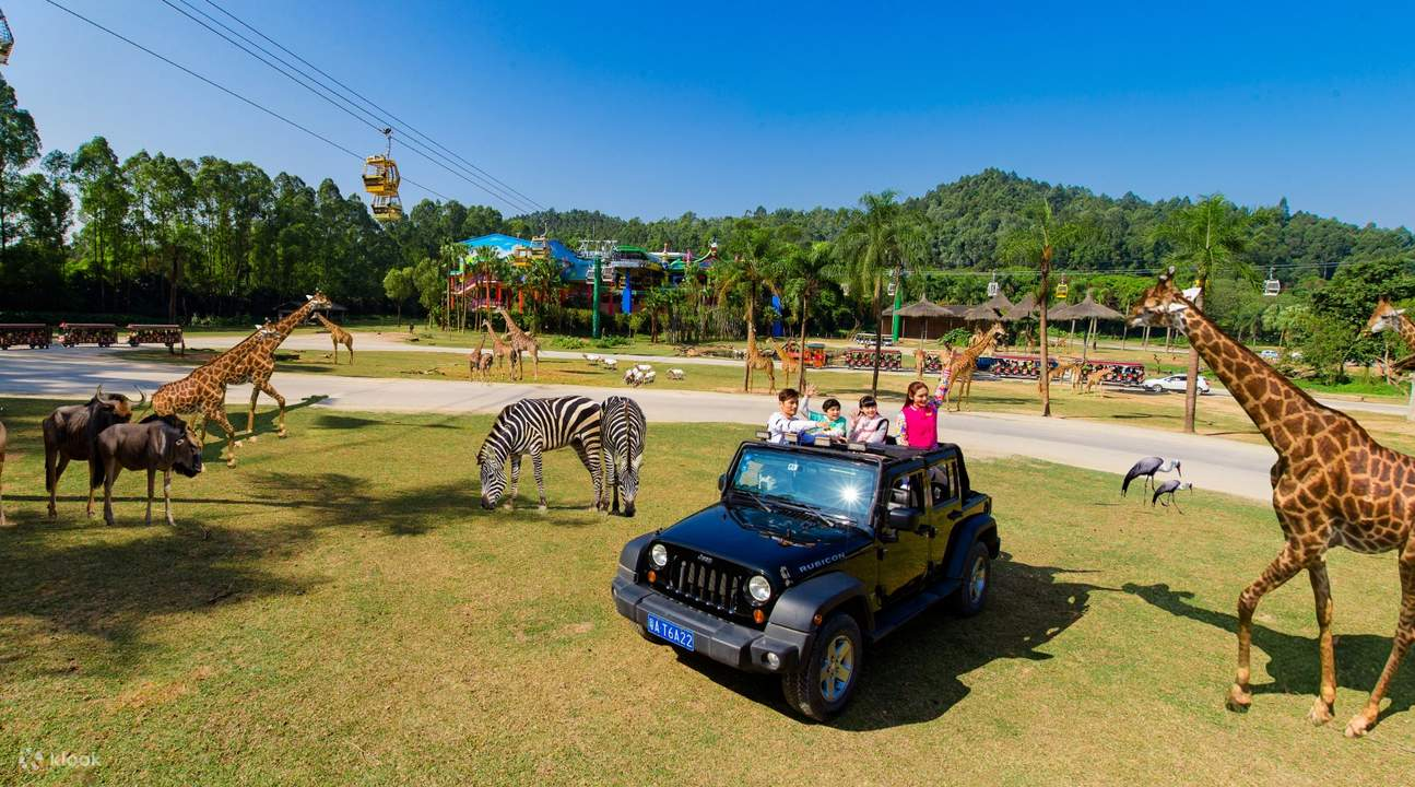 What To Do In Guangzhou: Chimelong Safari Park
