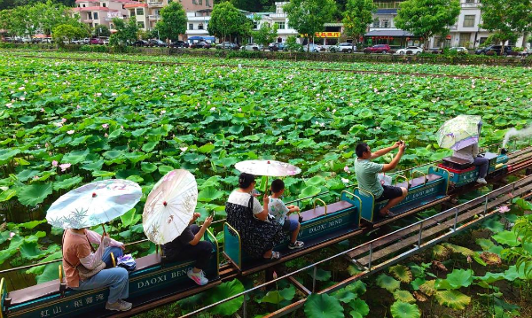 What To Do In Guangzhou: Hongshan Village Steam Train