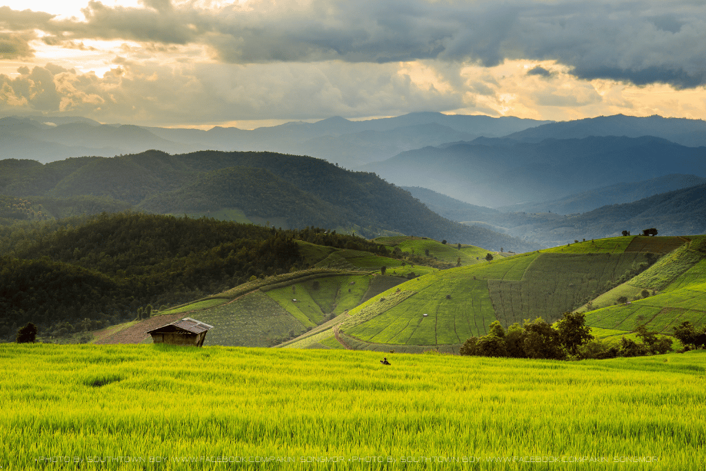 Lush green rice terraces and misty layered mountains under a cloudy sky in northern Thailand