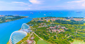 DBS Vantage Card Singapore 2025: Miles, Fees, Benefits & Overseas Spending
