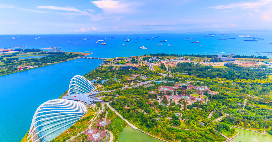 DBS Vantage Card Singapore 2025: Miles, Fees, Benefits & Overseas Spending