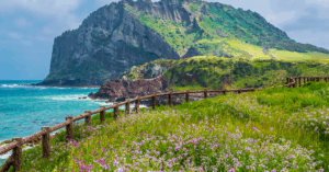 Jeju Car Rental 2025: The Ultimate 2025 Guide For Tourists