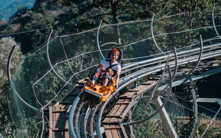 Two riders on an orange jungle-coaster cart on a track through the forest canopy