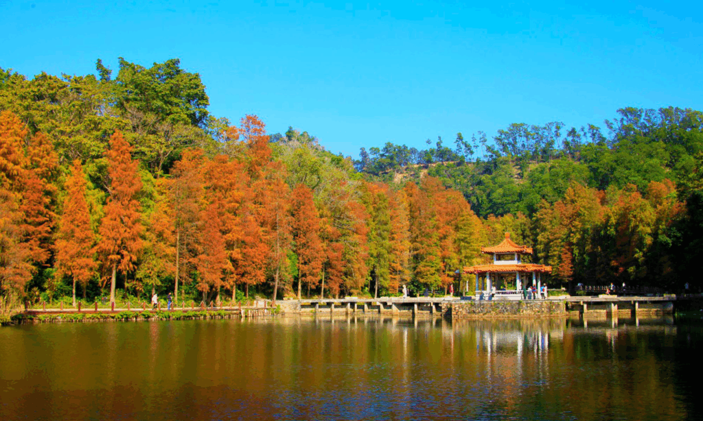 Things to Do in Shenzhen with Kids: Fairy Lake Botanical Garden