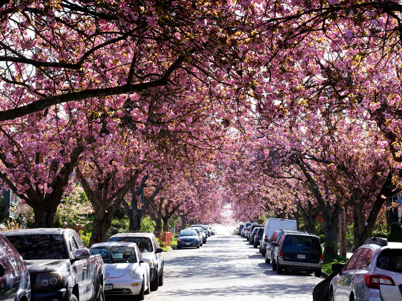 Things to do in Vancouver