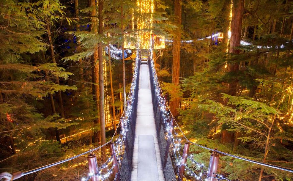 Things to do in Vancouver - Capilano Suspension Bridge