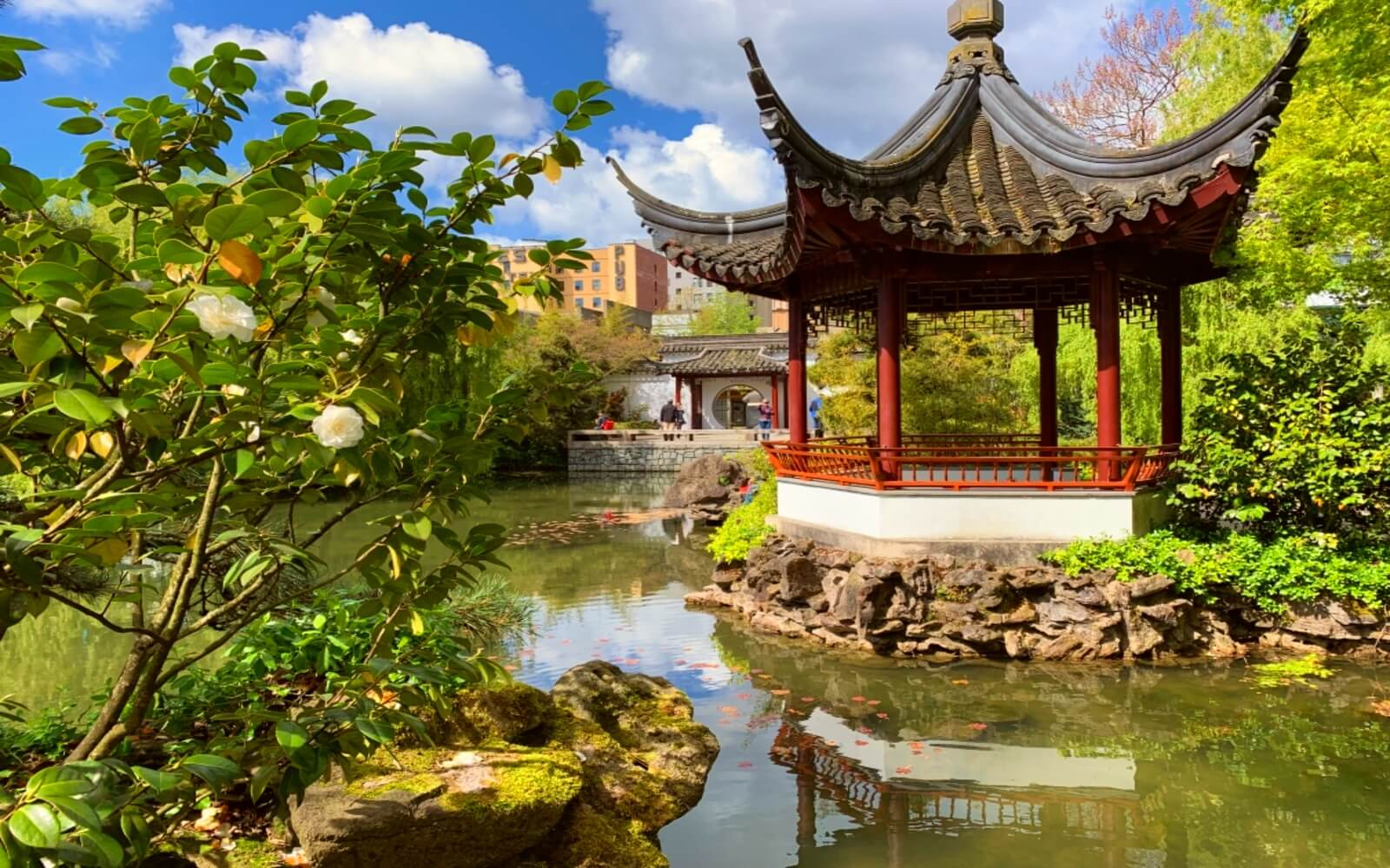 Things to do in Vancouver - Dr. Sun Yat-Sen Classical Chinese Garden