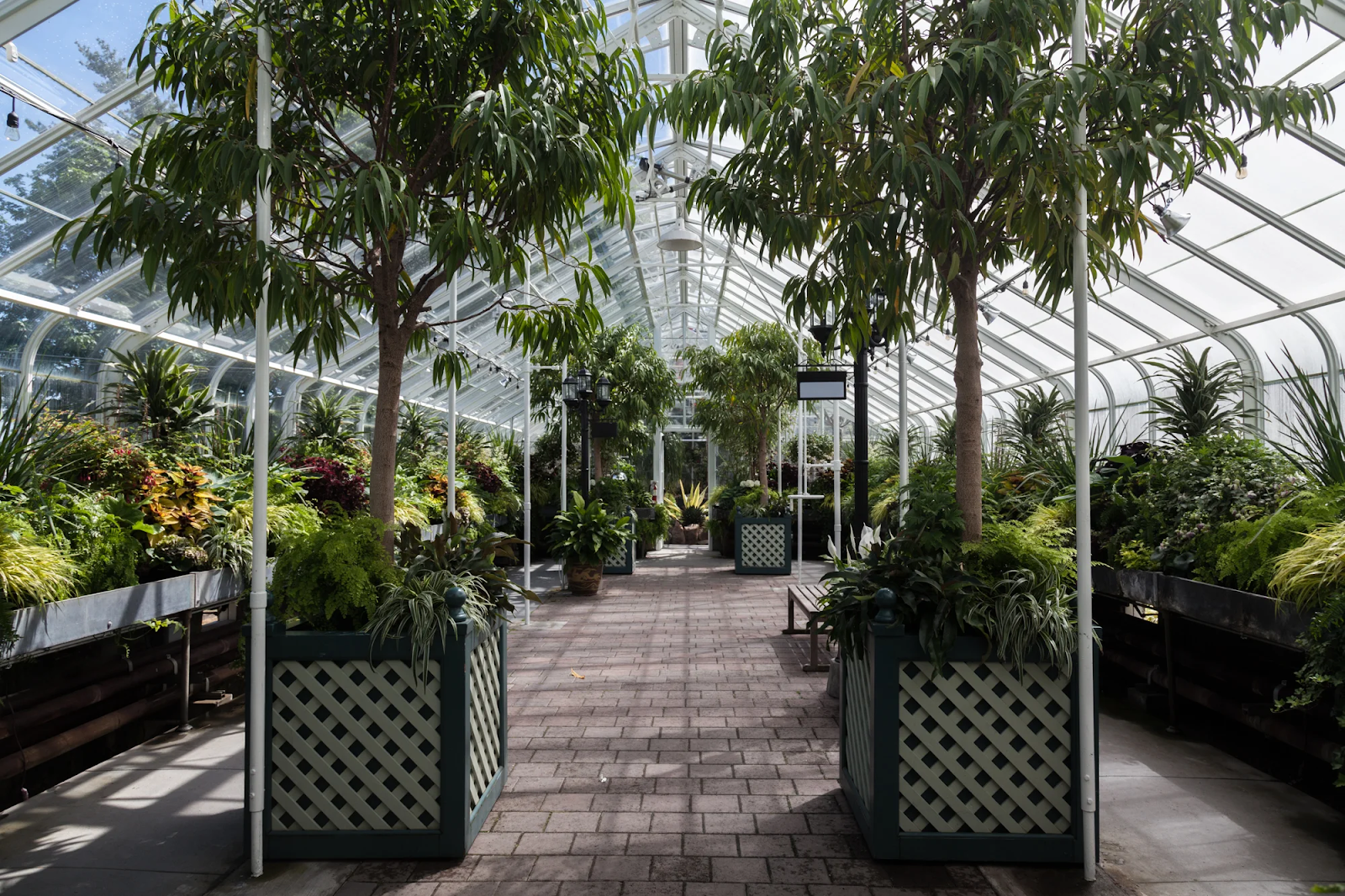 Seattle Volunteer Park Conservatory