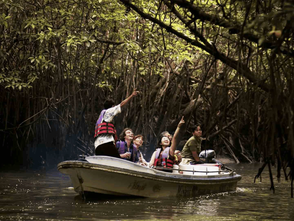 Glamping Bintan: What to do in Bintan Mangrove Tour