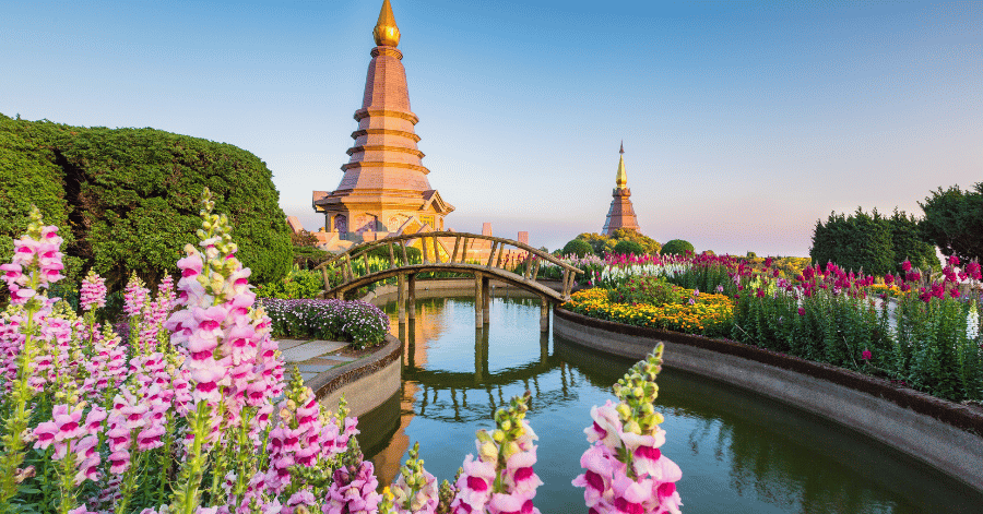 The twin Royal Pagodas at Doi Inthanon above a pond, wooden bridge and pink flower gardens