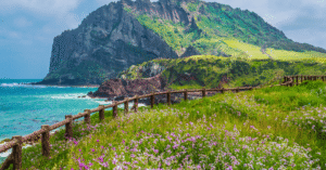 Jeju Car Rental