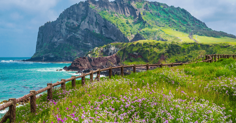 Jeju Car Rental
