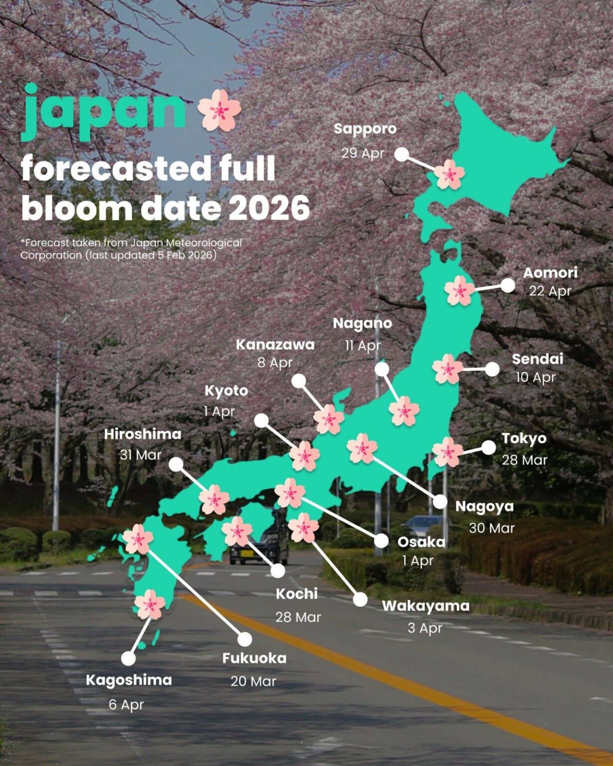 Cherry Blossom Season Japan 2026: Best Time to Visit, Sakura Forecast ...