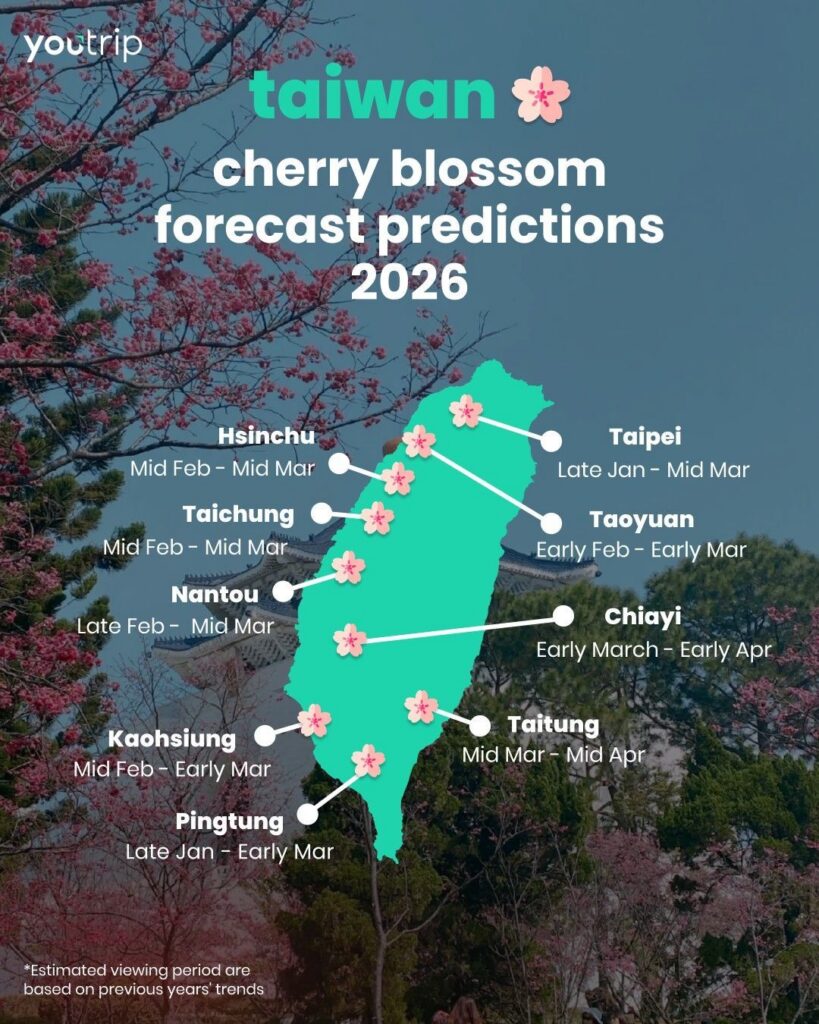 Taiwan Cherry Blossom 2026 Forecast Map