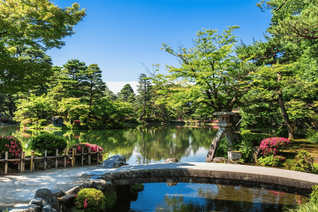Lush green Japanese landscape garden with a still pond and stone bridge in summer