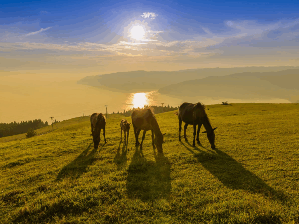 Kyushu Japan: Sunrise at Cape Toi (Miyazaki)