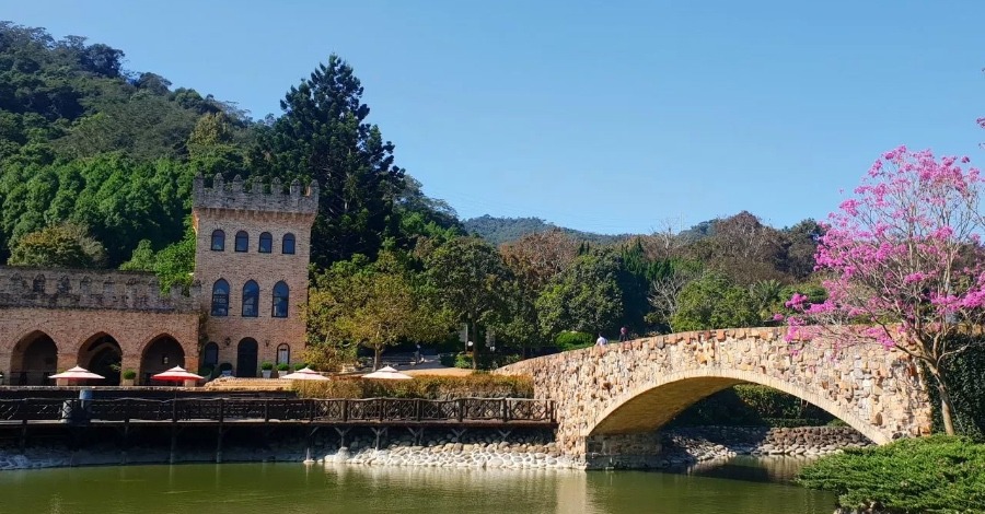Taiwan Cherry Blossom: Xinshe Castle Area