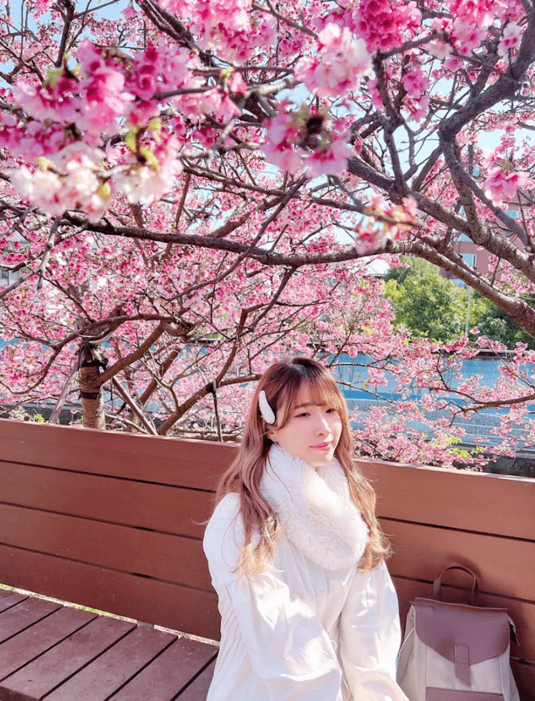 Taiwan Cherry Blossom: Lohas Cherry Blossom Festival (Lohas Park)