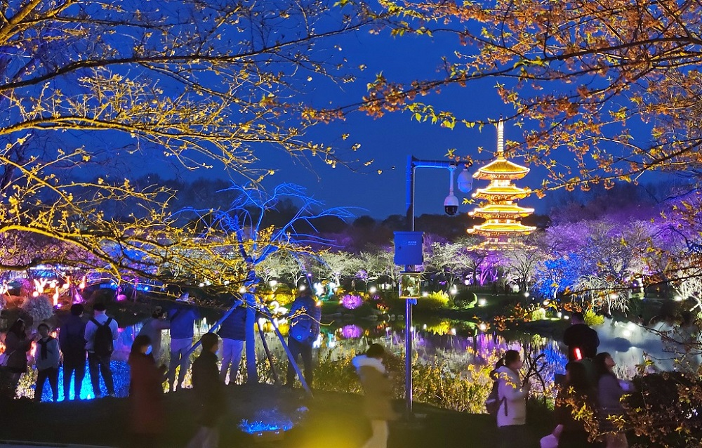 China Cherry Blossom: East Lake Cherry Blossom Garden (东湖樱花园)